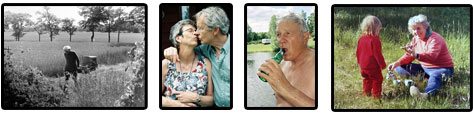 Ingelströmmare i bild